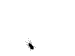 Violator89